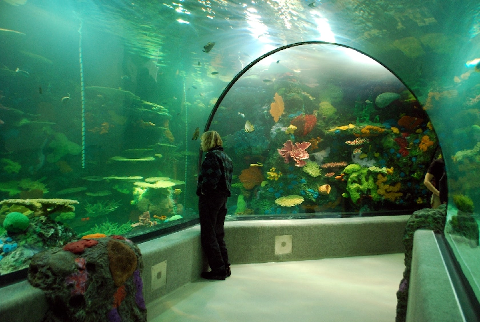 Virginia Aquarium