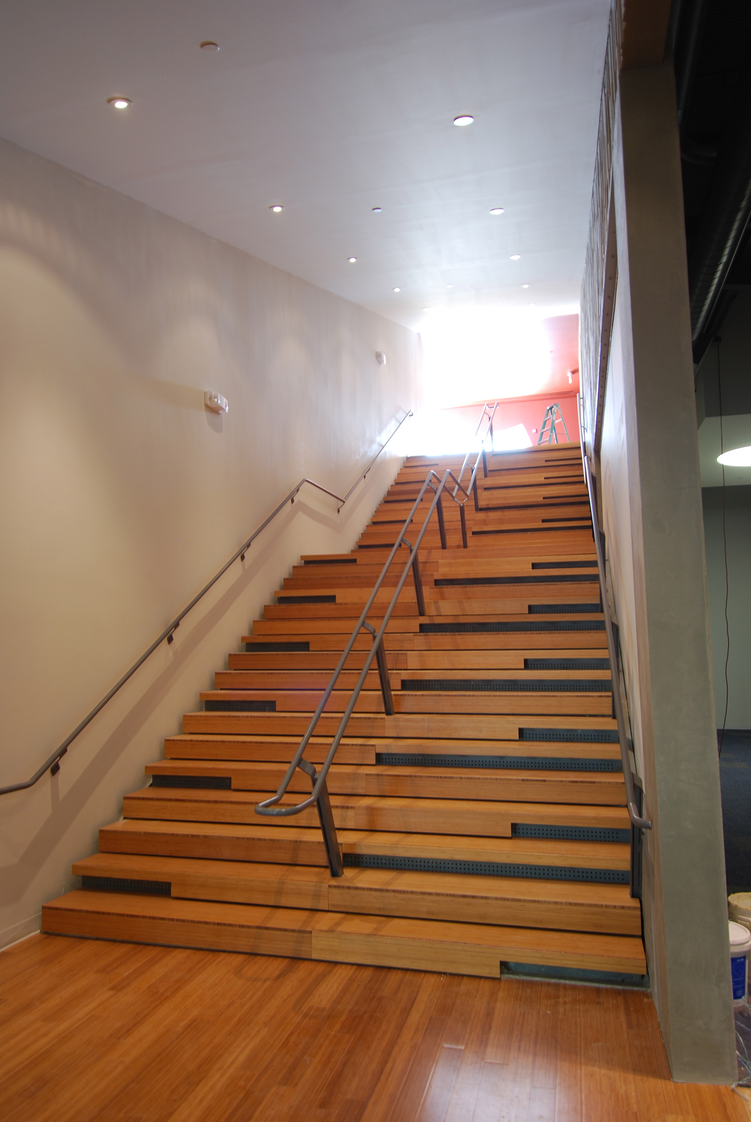 LOOK Cinema Dallas Architizer