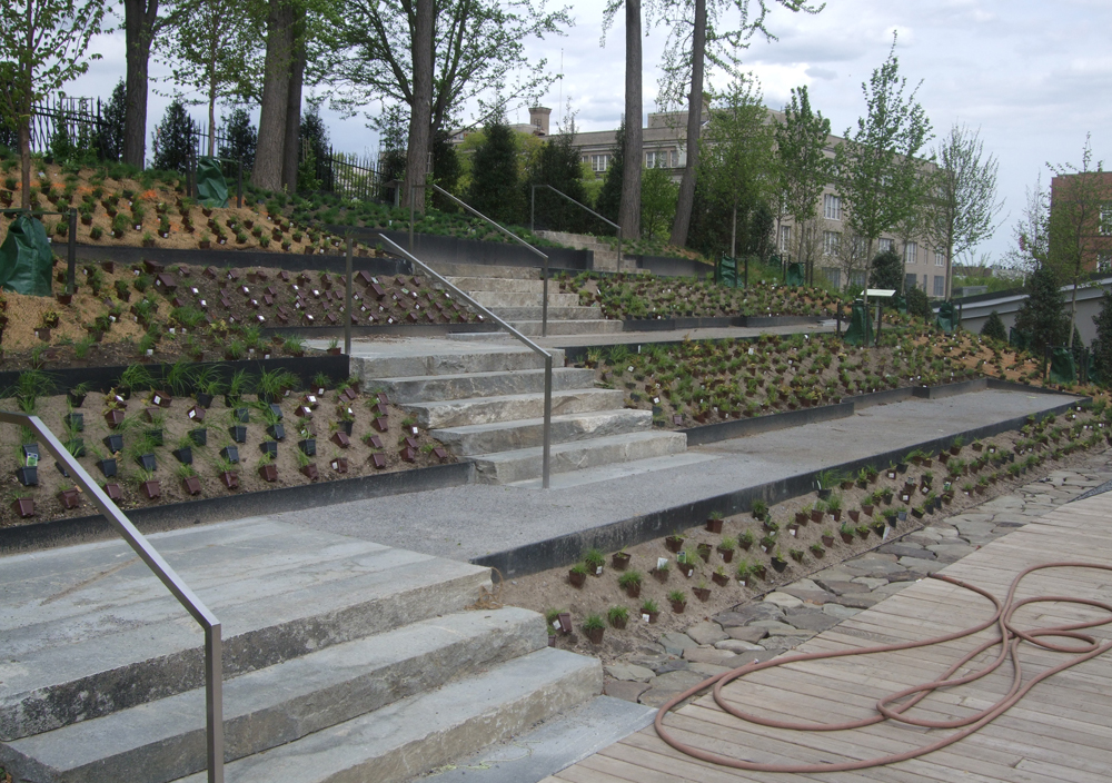 BBG (Brooklyn Botanic Garden) Ecological Engineering By HMWhite ...