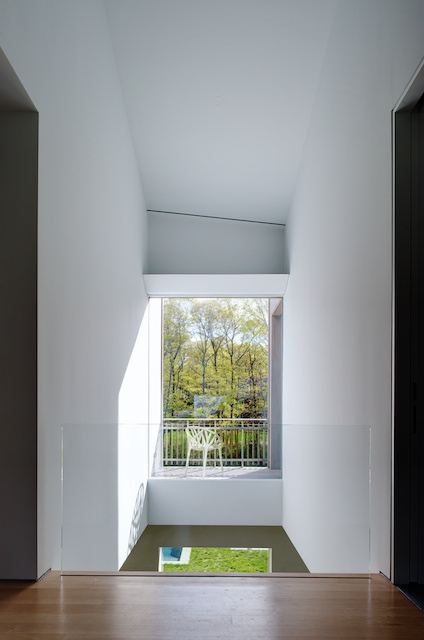 read finite calculus a tutorial for