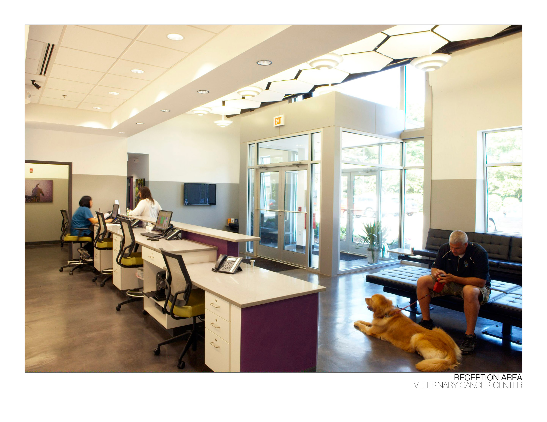 Veterinary Cancer Specialist In Iowa