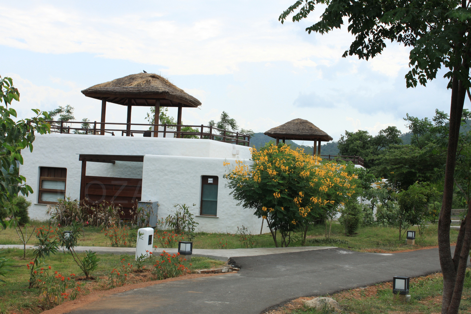 JUNGLE RESORT - Architizer