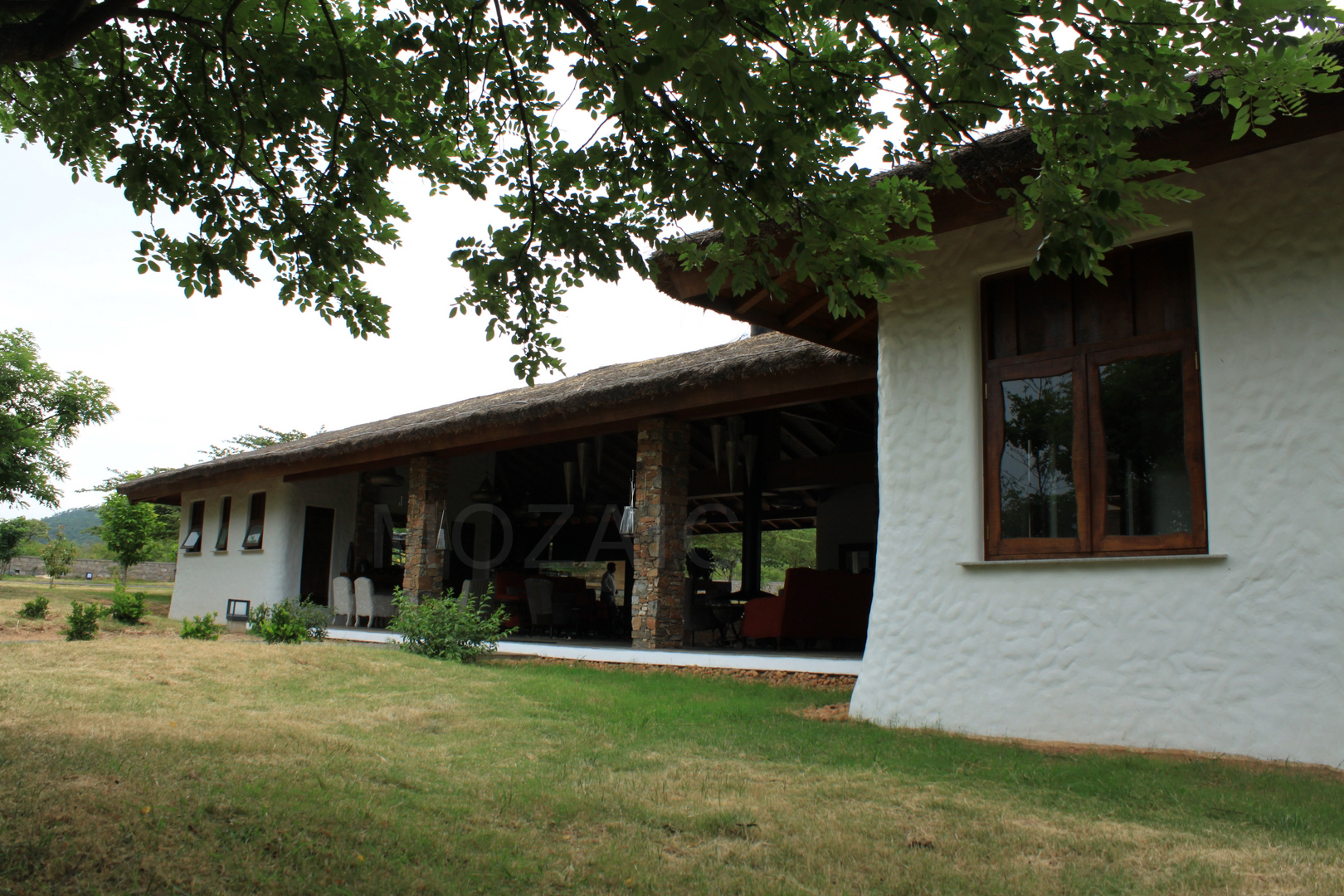 JUNGLE RESORT - Architizer