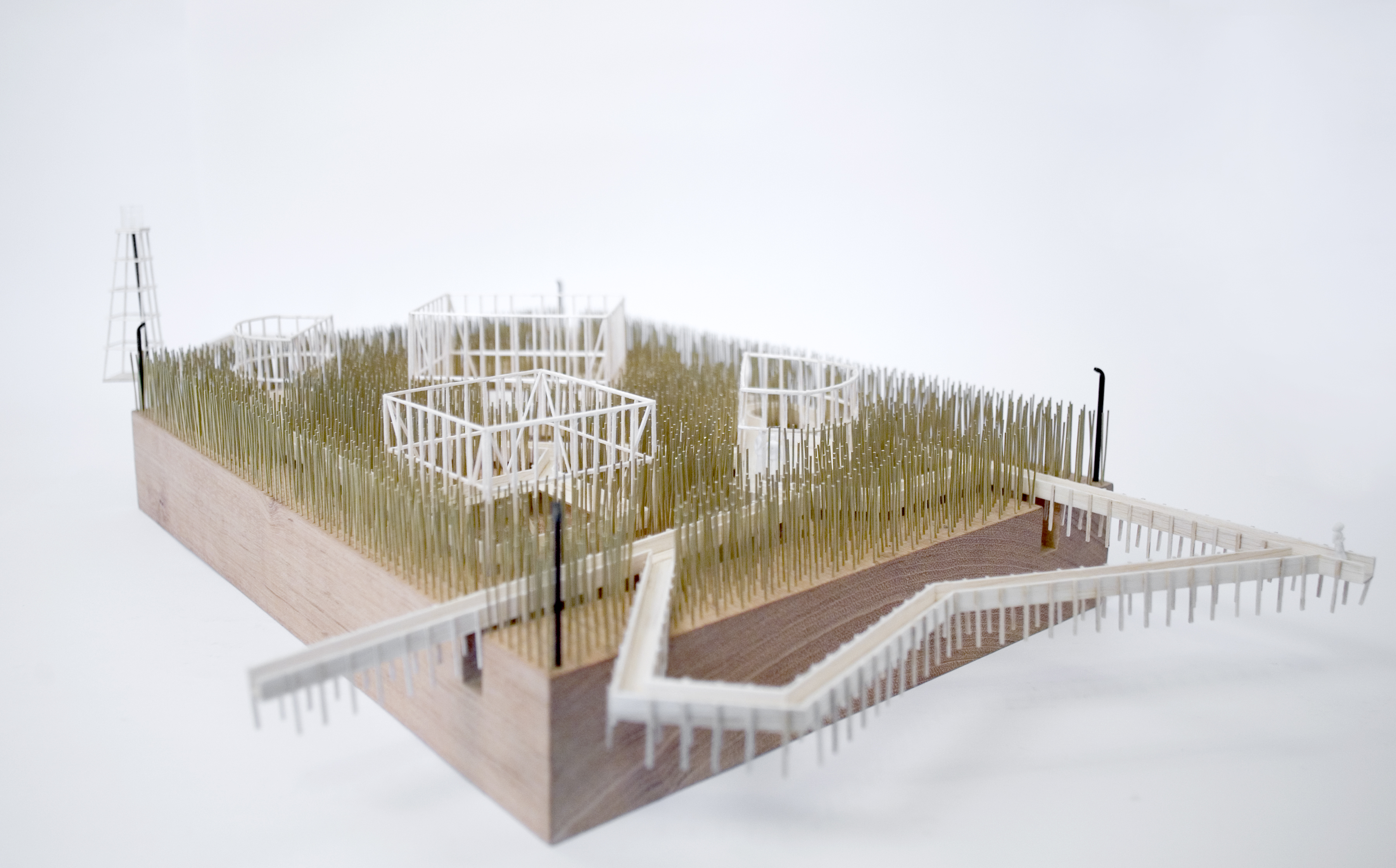 The Garden of Forking Paths Architizer