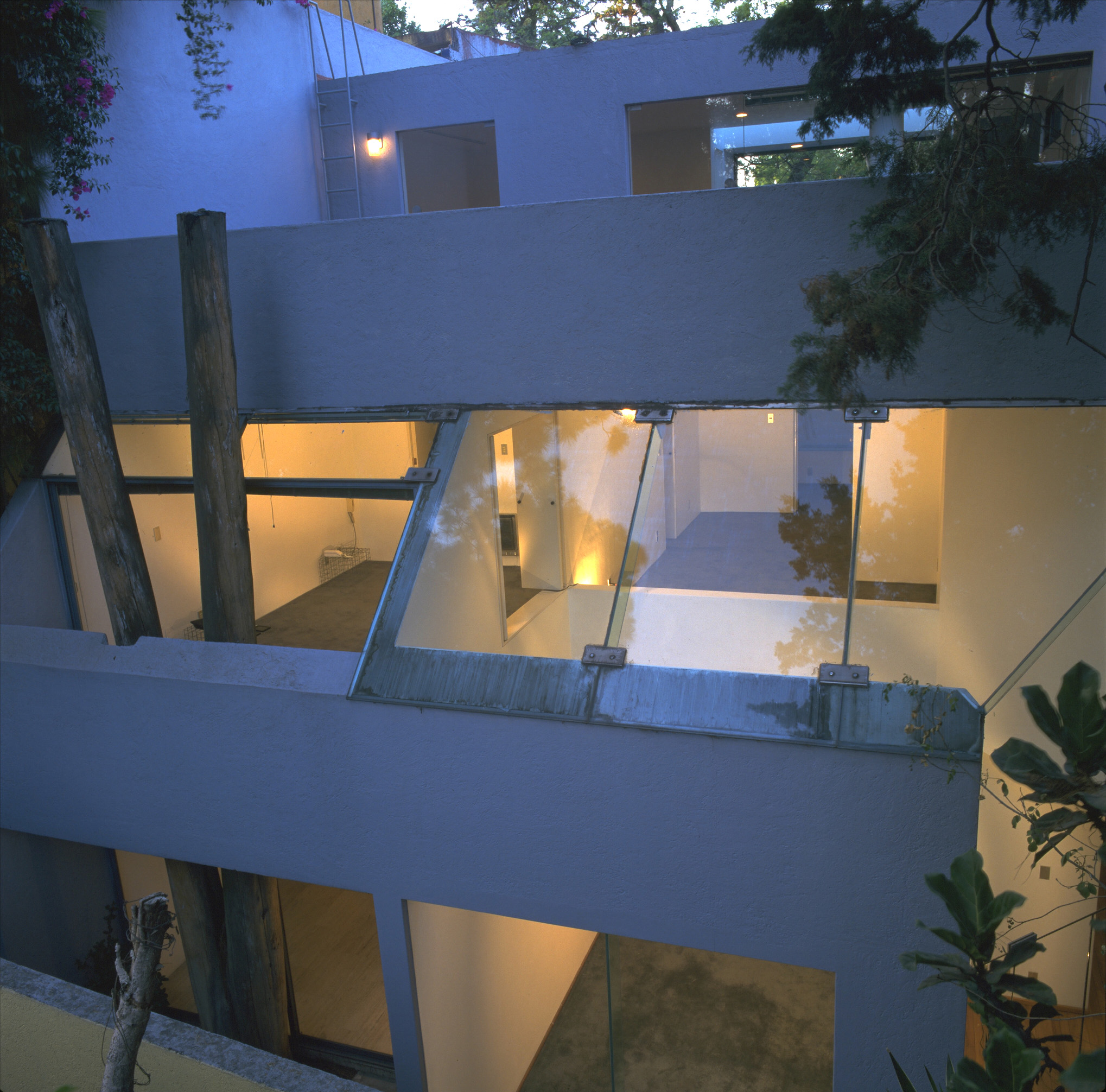 Lavender house between trees. by Jerry Jacobs Design, Inc. Architizer