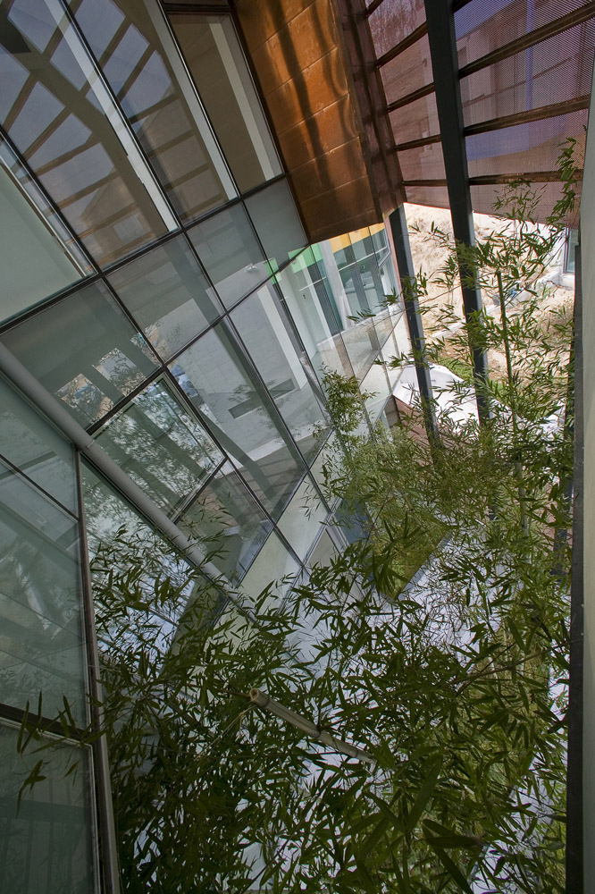 Cross Grain House Architizer