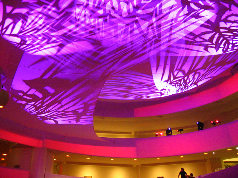 Guggenheim Museum's Young Art Collectors Council annual Artist's Ball
