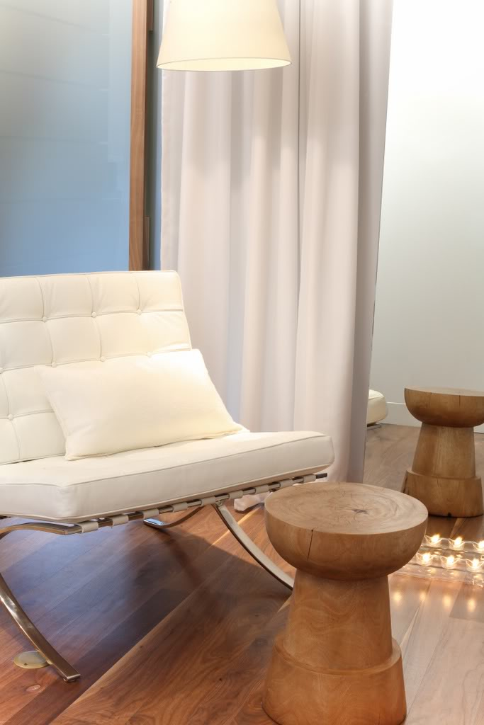 ELIZABETH ROCHE MEDSPA - Architizer