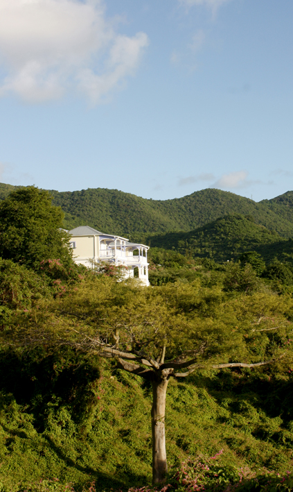 villa FREEDOM by SMILE's Studio Architizer