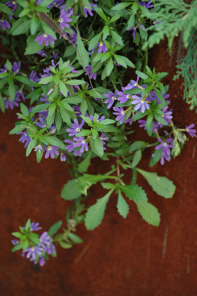 SOHO Roof Garden by VertNY, inc. Architizer