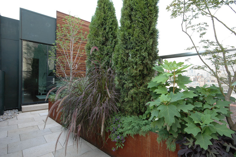 SOHO Roof Garden by VertNY, inc. Architizer