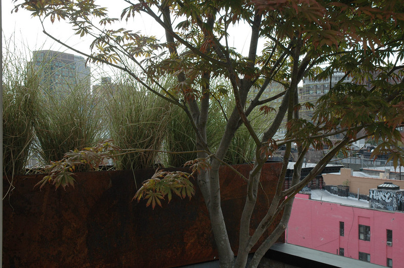 SOHO Roof Garden by VertNY, inc. Architizer