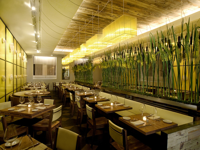 Park Avenue Restaurant - Architizer