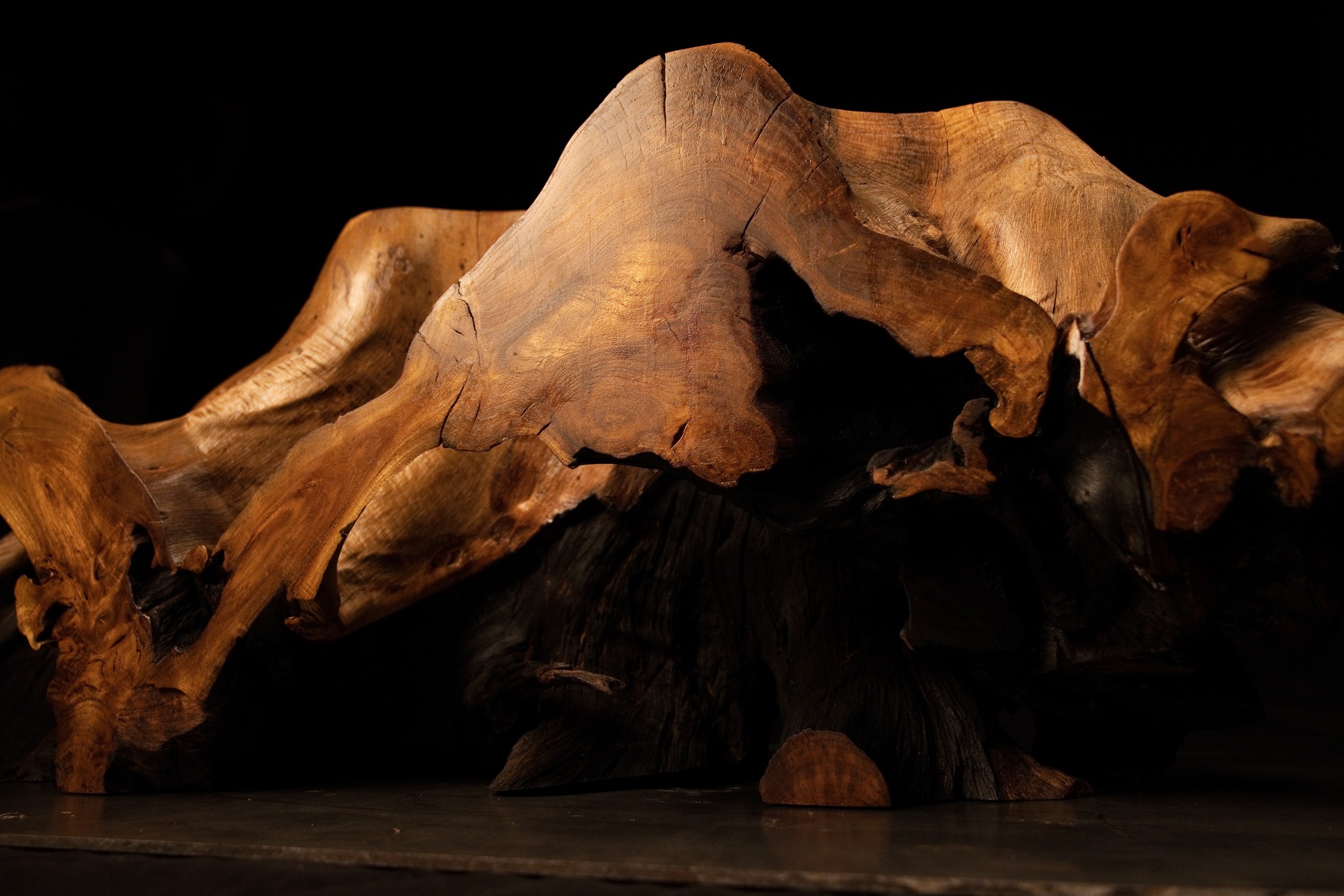 Triassic Botanical Root Monolith — Spatial Anchor No. 01