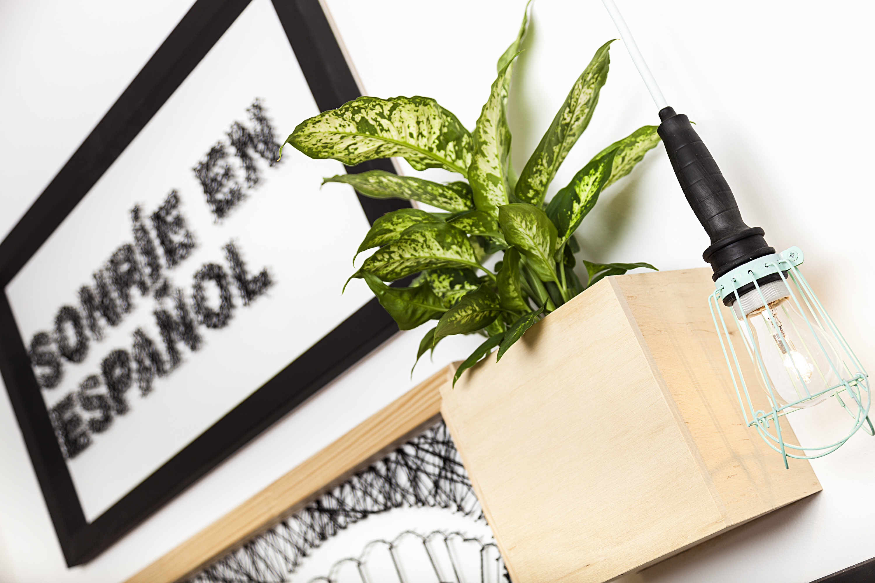 Планировки. Креативные зоны в школе. 2 day languages. Language in branding projects. 2 day languages.