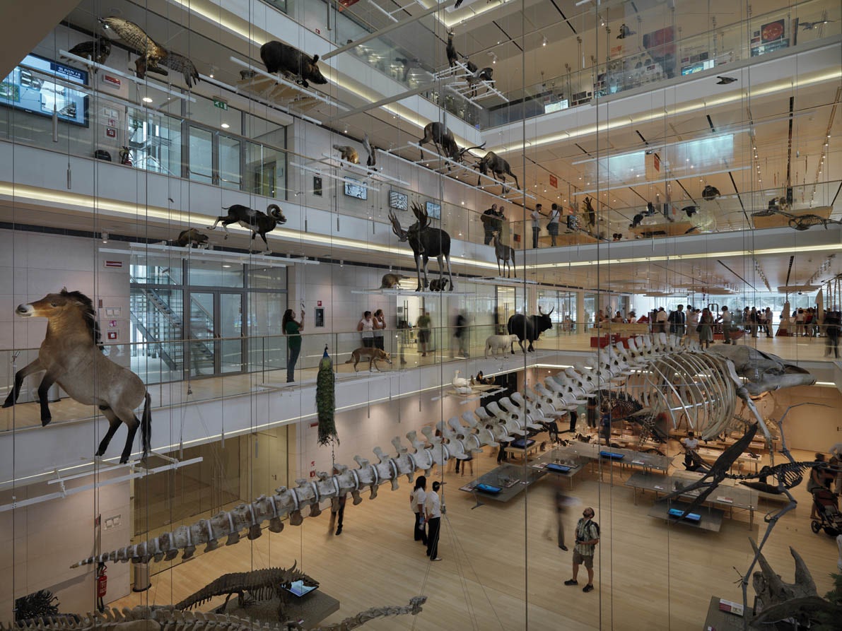 © Renzo Piano Building Workshop