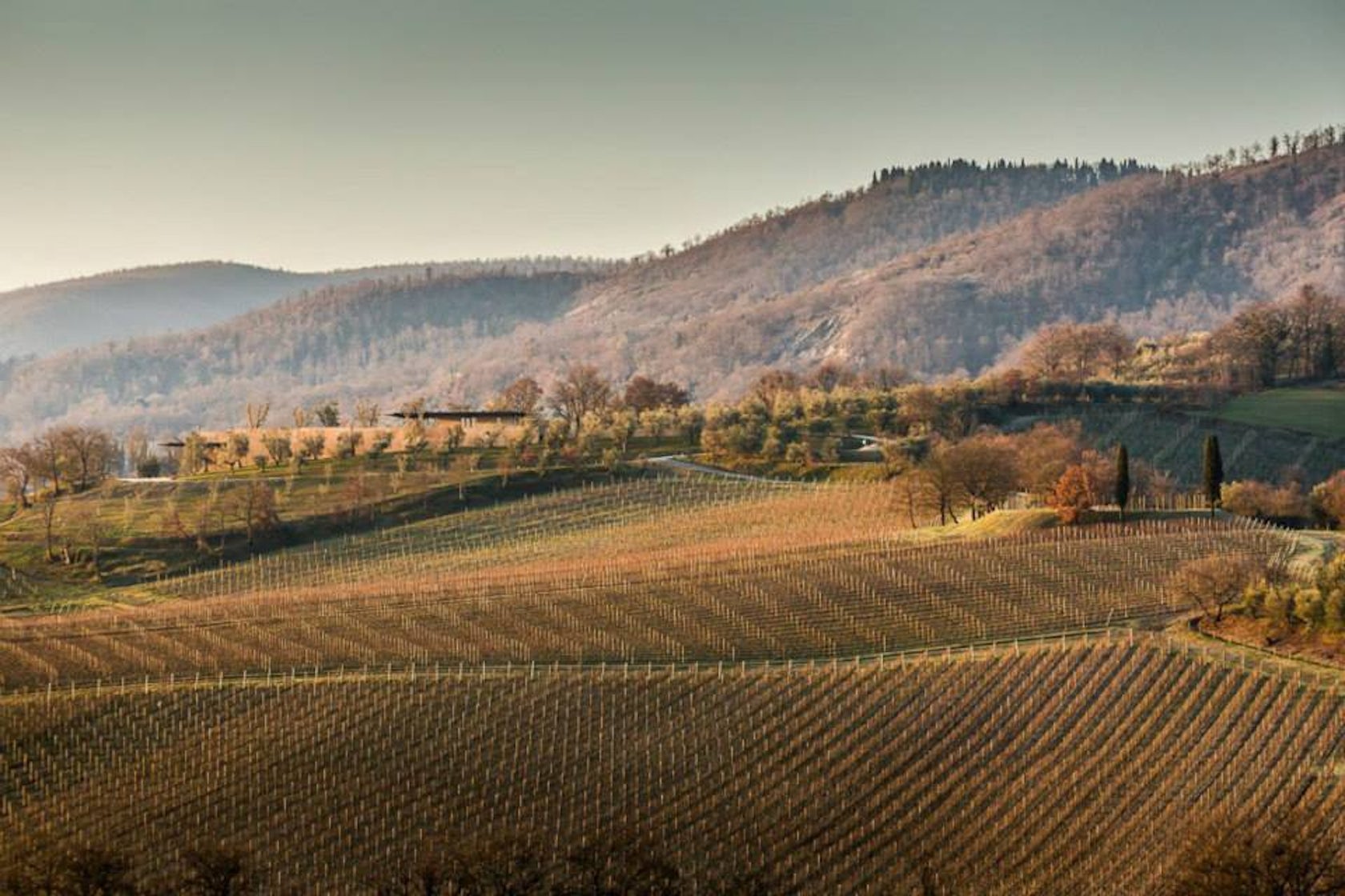 Bulgari Winery, Tuscany, Italy (2013) by Alvisi Kirimoto + Partners -  Architizer