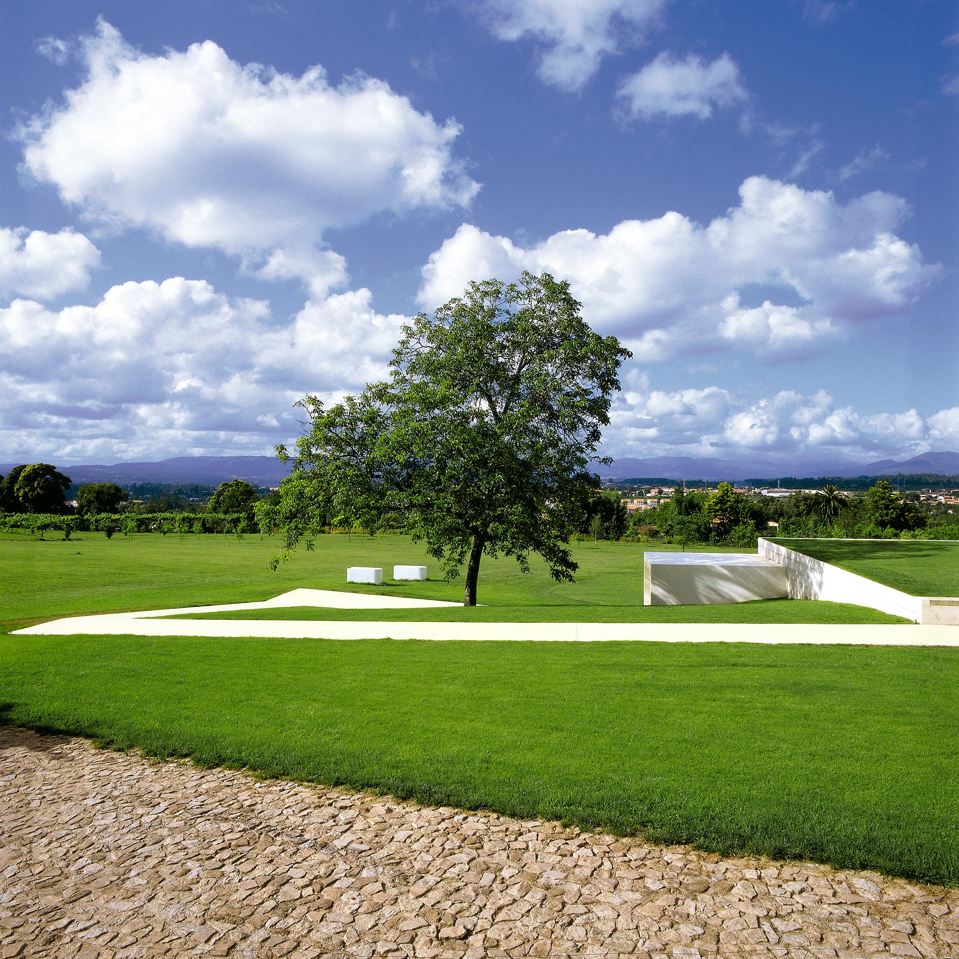 Galeria Mário Sequeira Architizer