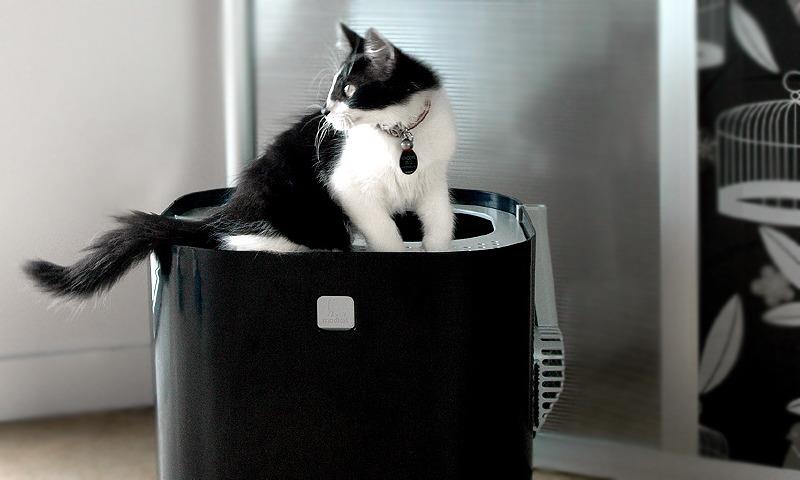 Modkat Litter Box