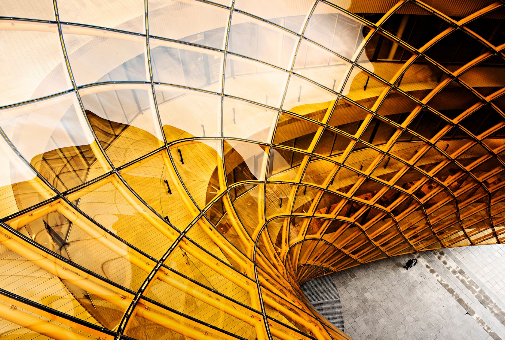 Gallery of Frank Gehry's Fondation Louis Vuitton / Images by Danica O. Kus  - 18