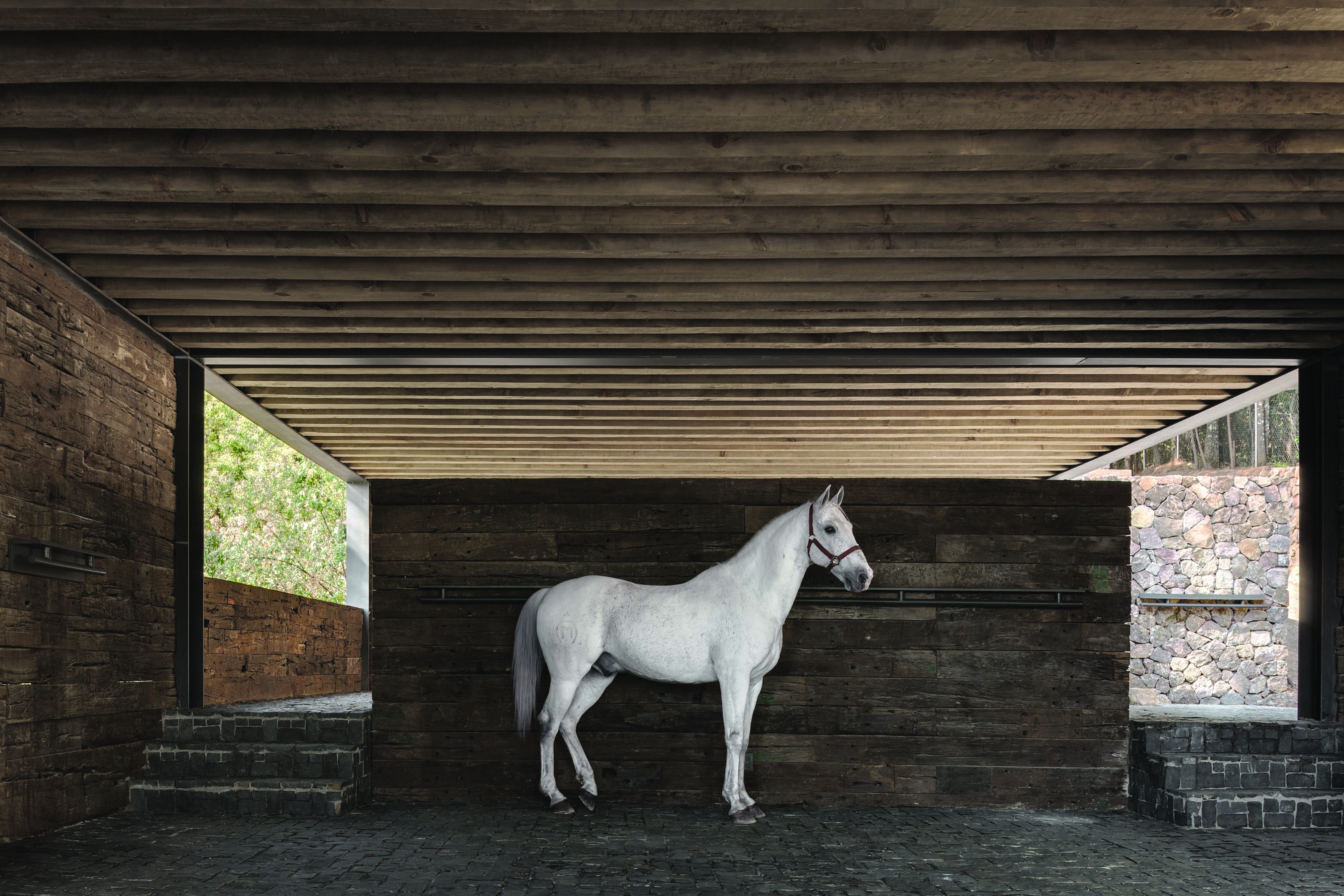 Картинка конюшни. Конюшня «Эль-Мирадор. Конюшня снаружи. Лошадь в доме. Красивые конюшни.