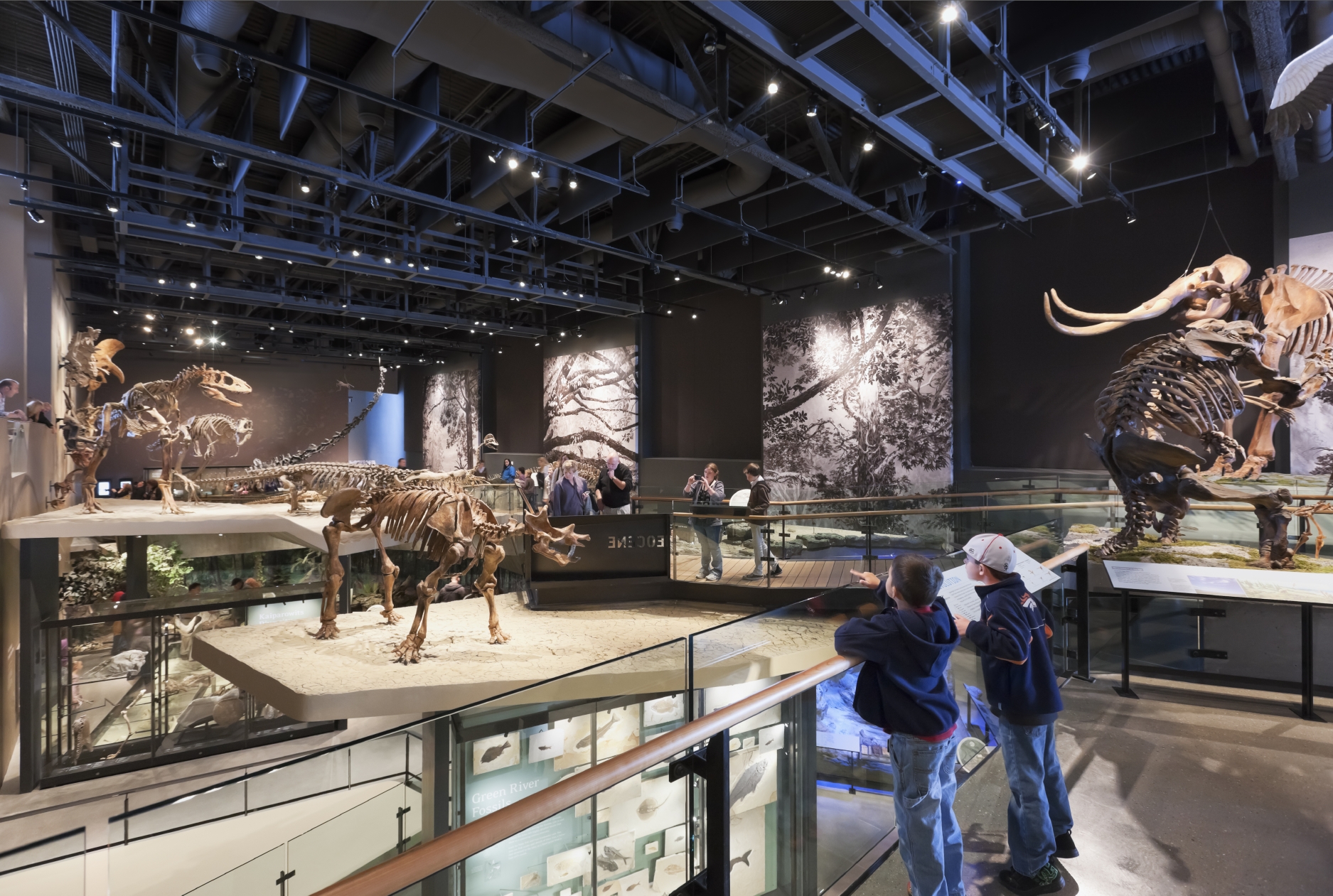 Natural History Museum Of Utah - Architizer