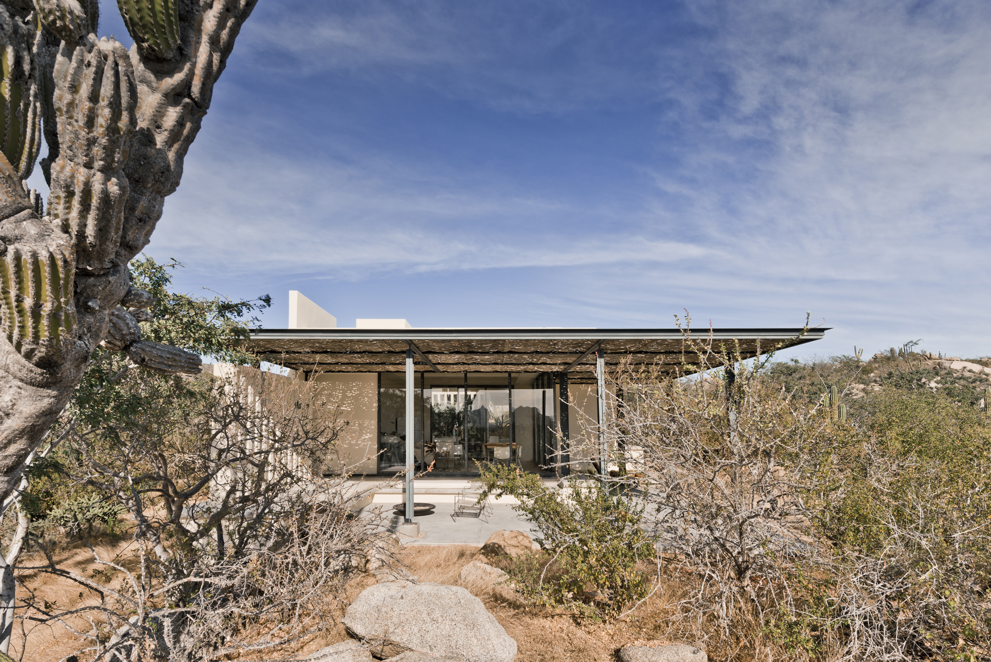 © Campos Leckie Studio