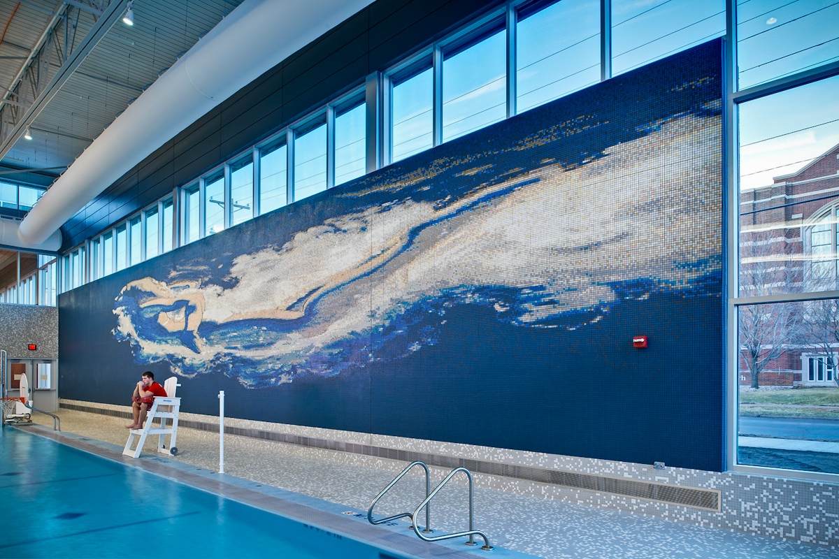 "Learning to Fly" Mosaic for Iowa State University
