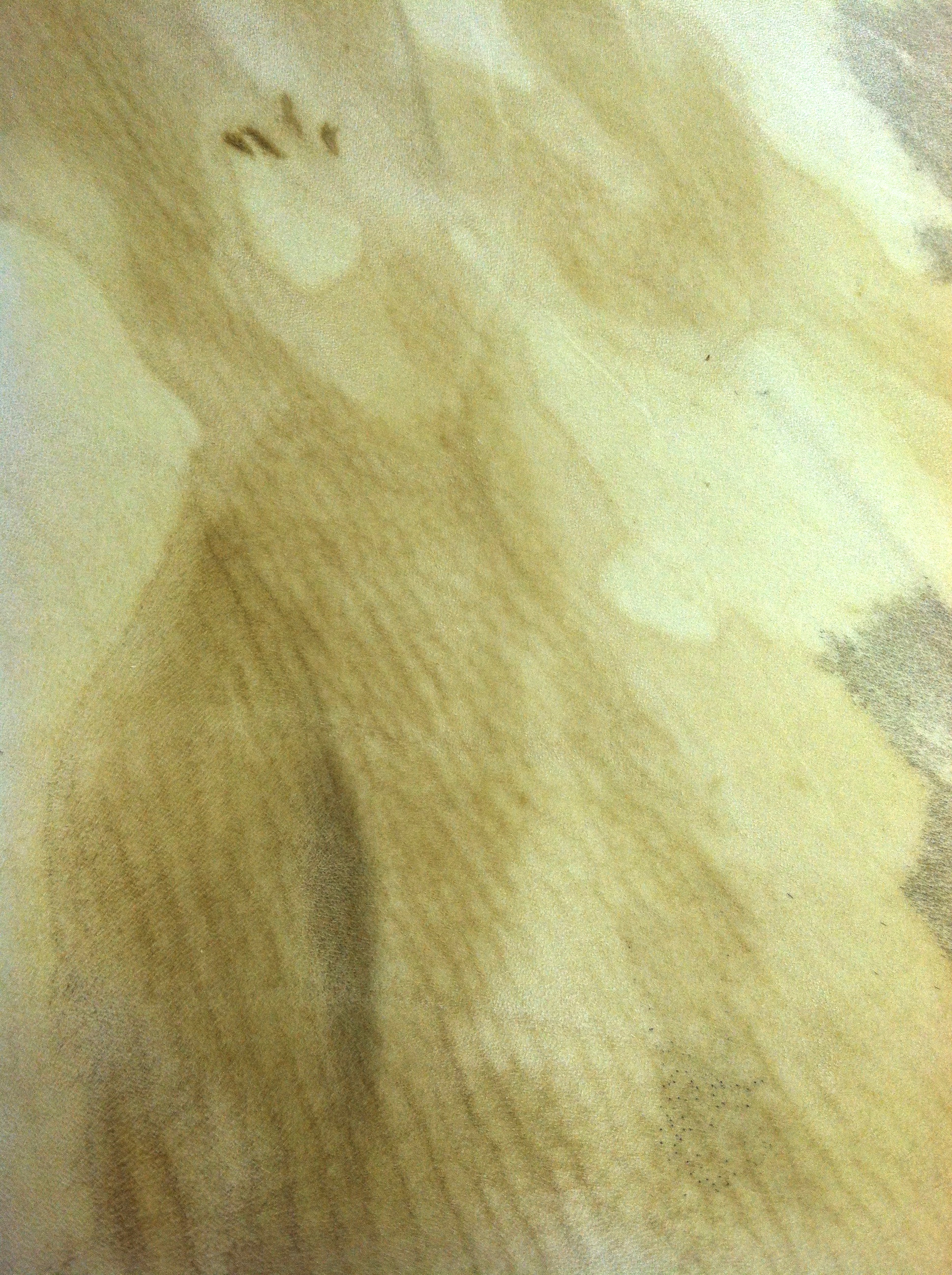Calf Parchment