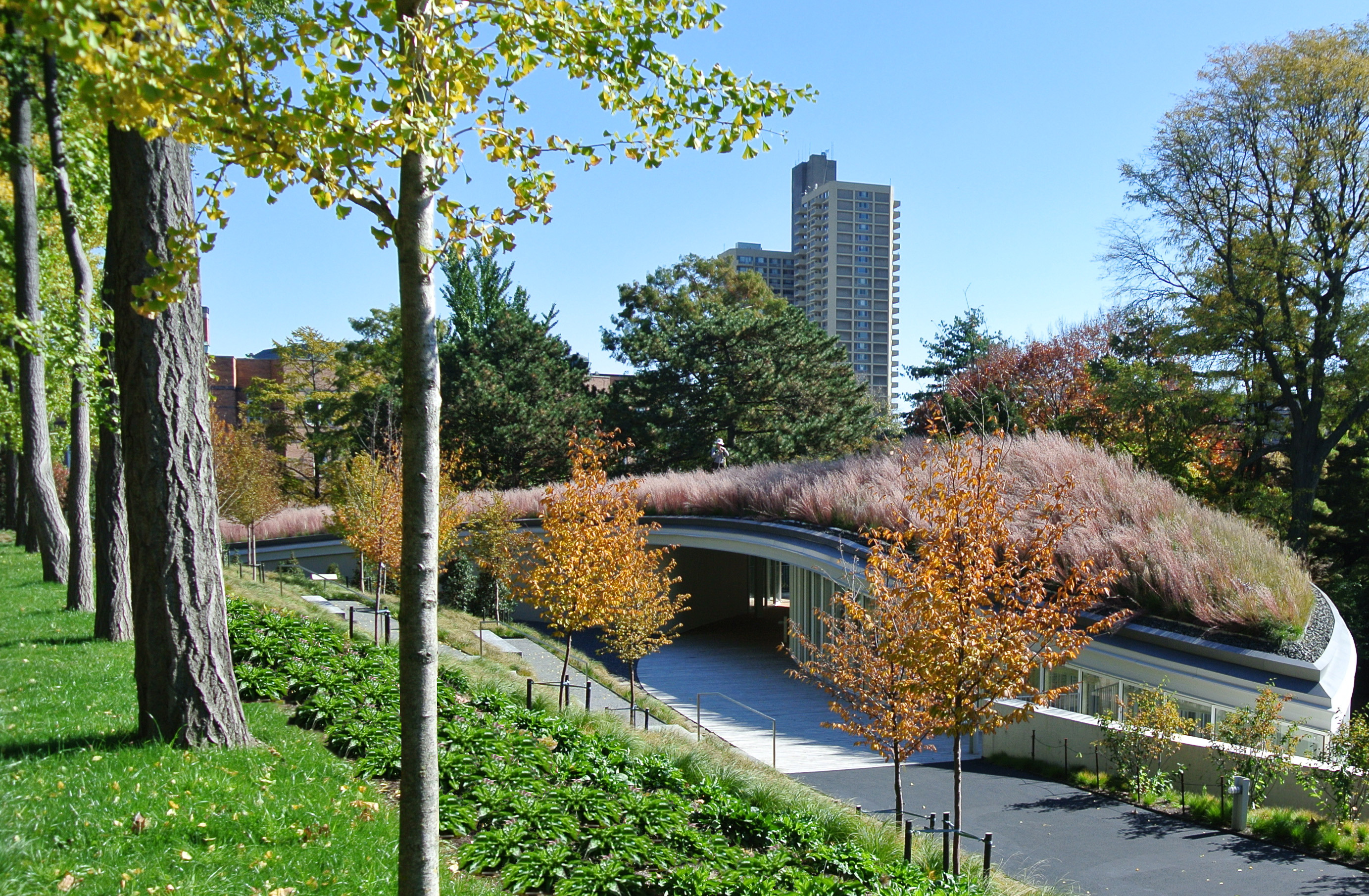 Brooklyn Botanic Garden Visitor Center Living Roof And Landscape By ...