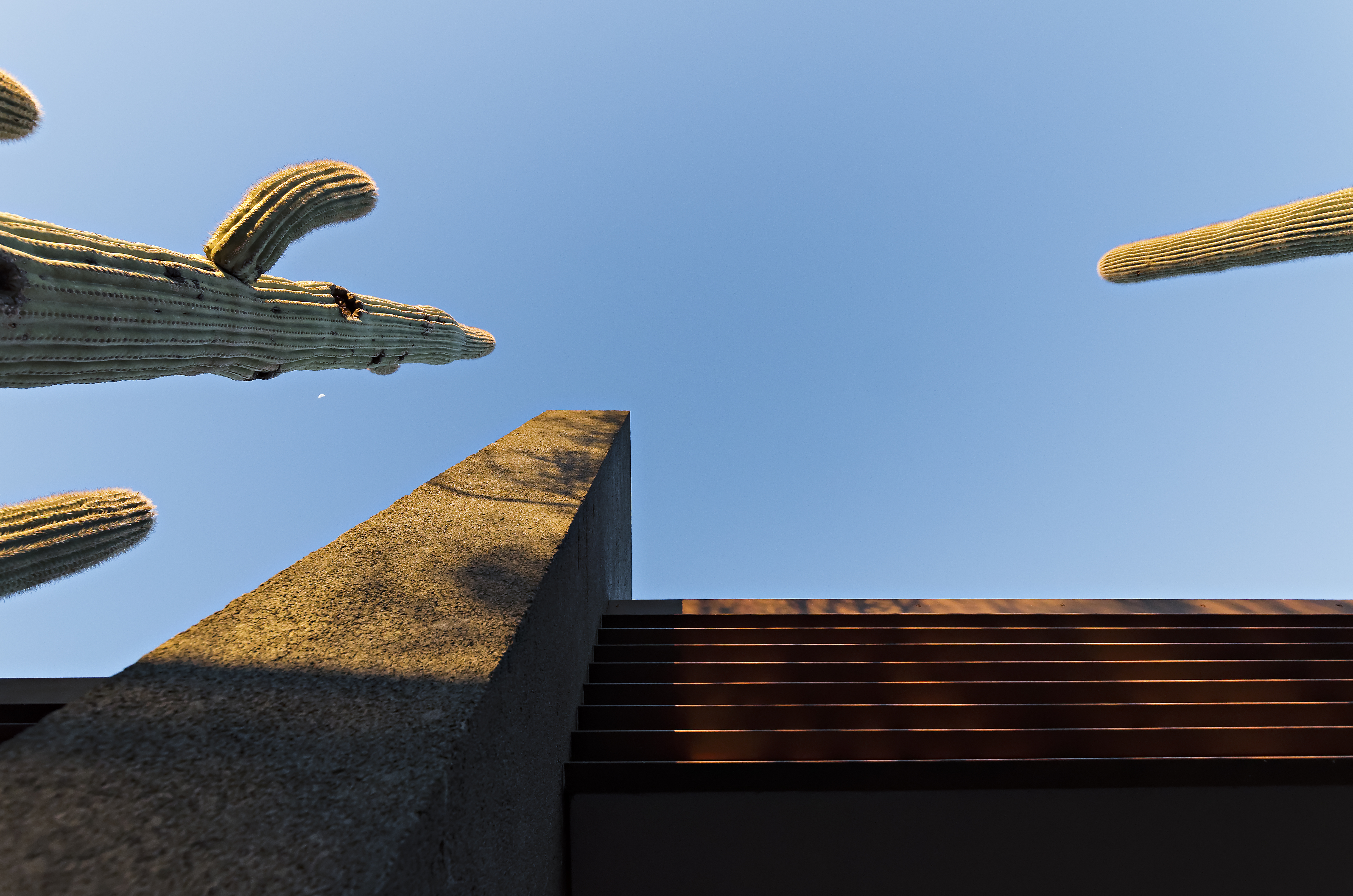 © DesignBuild Collaborative