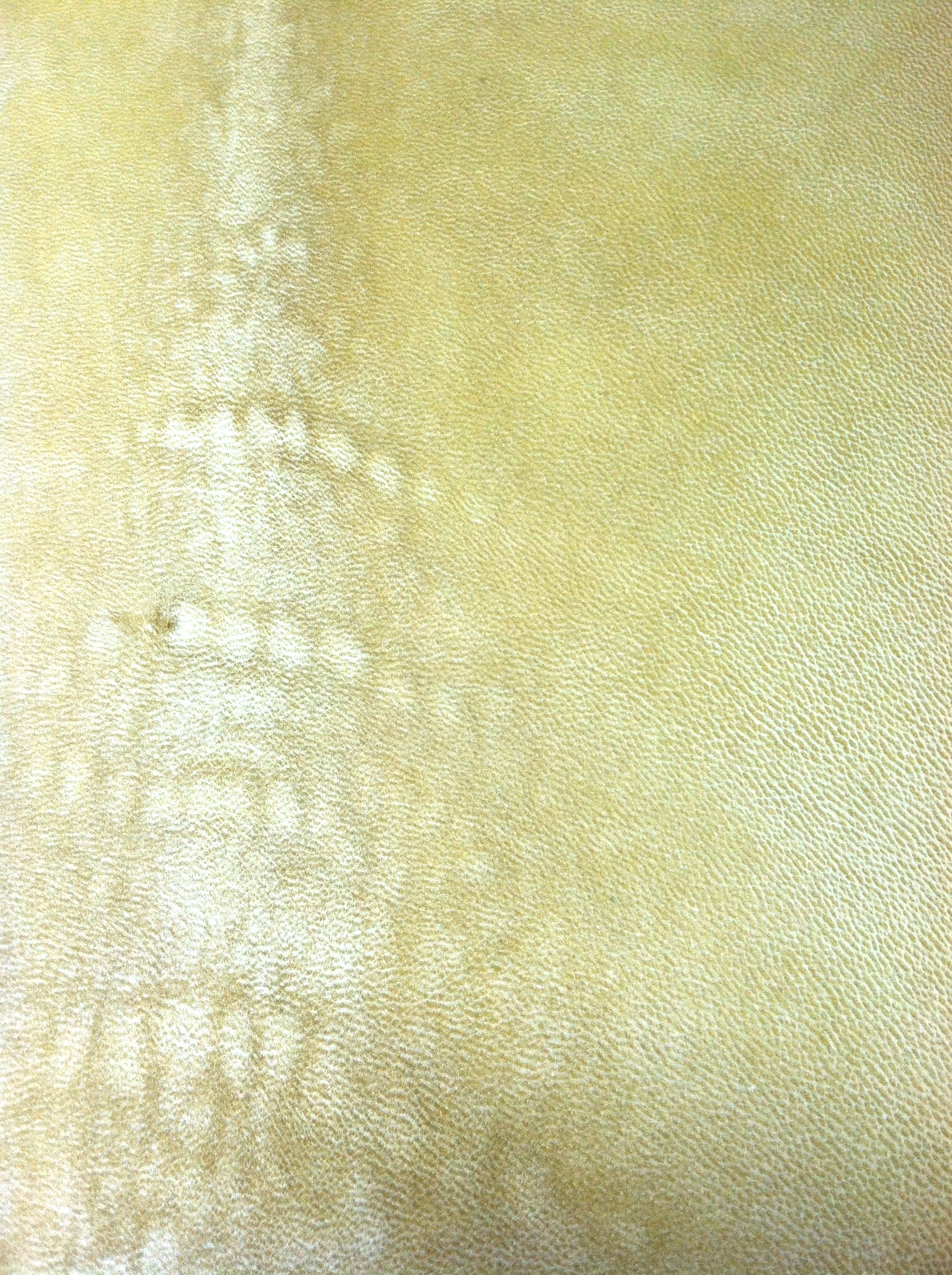 Sheep Parchment