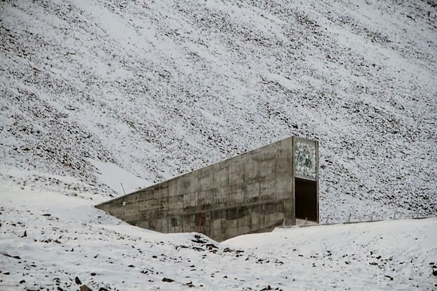 This Arctic Shelter Holds The Seeds To Humankind S Survival Architizer Journal This Arctic Shelter Holds The Seeds To Humankind S Survival Architizer Journal