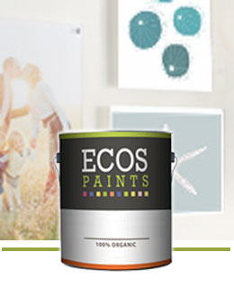 Eggshell Paint