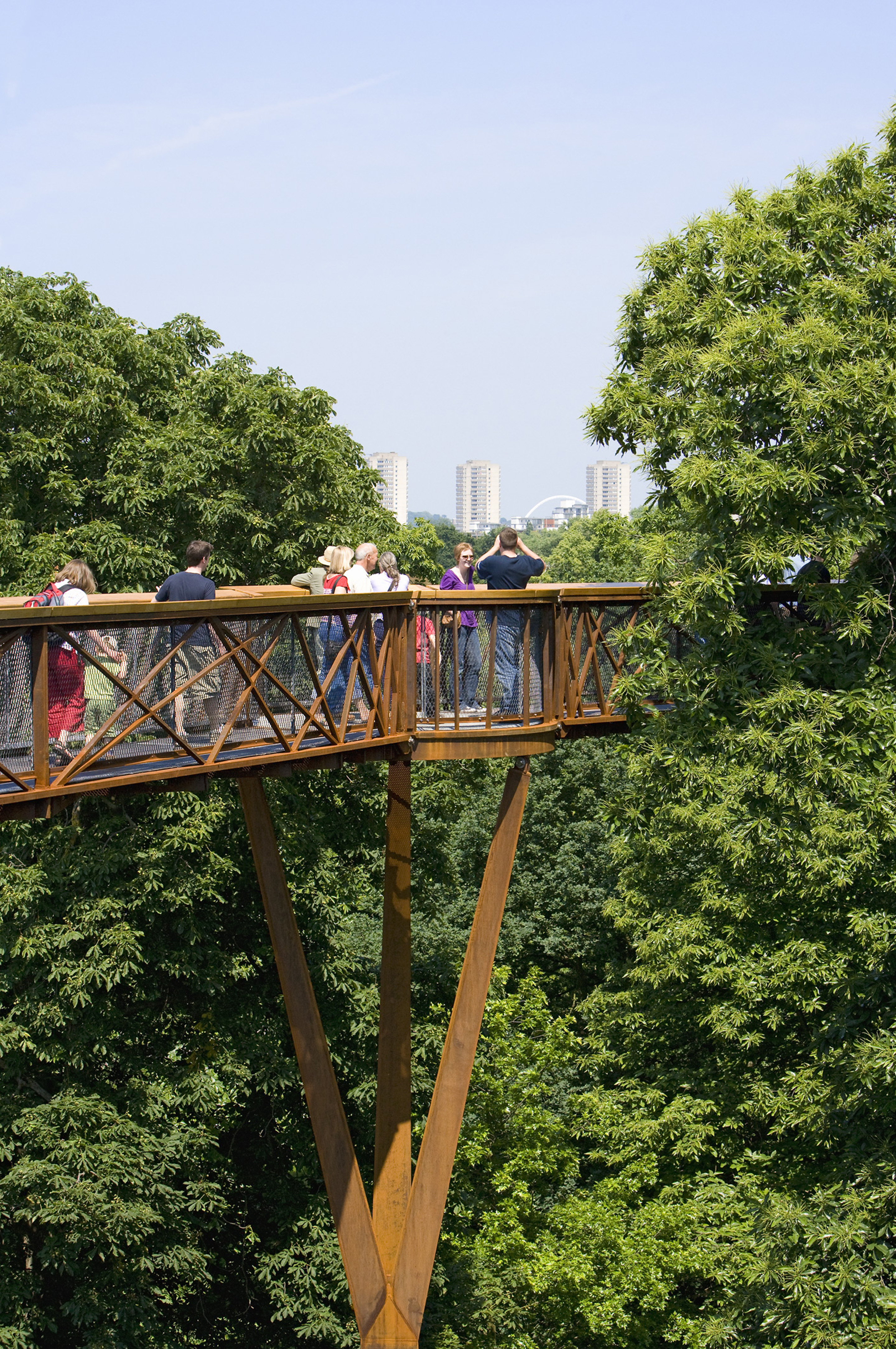 Аллея над верхушками деревьев сад кью. Сад кирстенбош африка. Xstrata treetop walkway. Walkway kew gardens. Над верхушками деревьев.