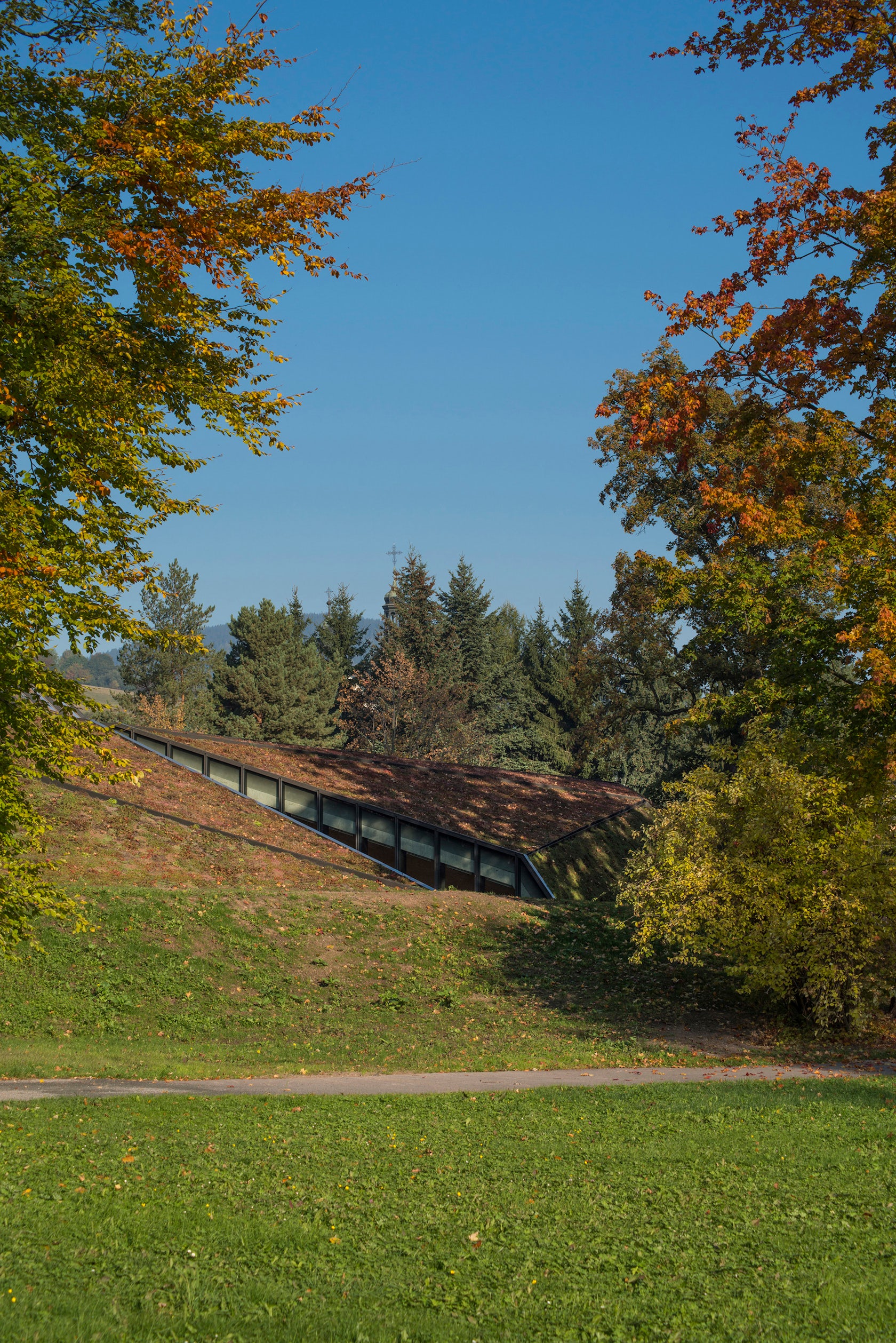 © BENEDIKT MARKEL