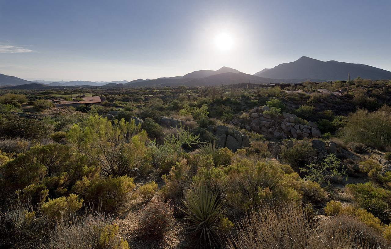 © Wendell Burnette Architects