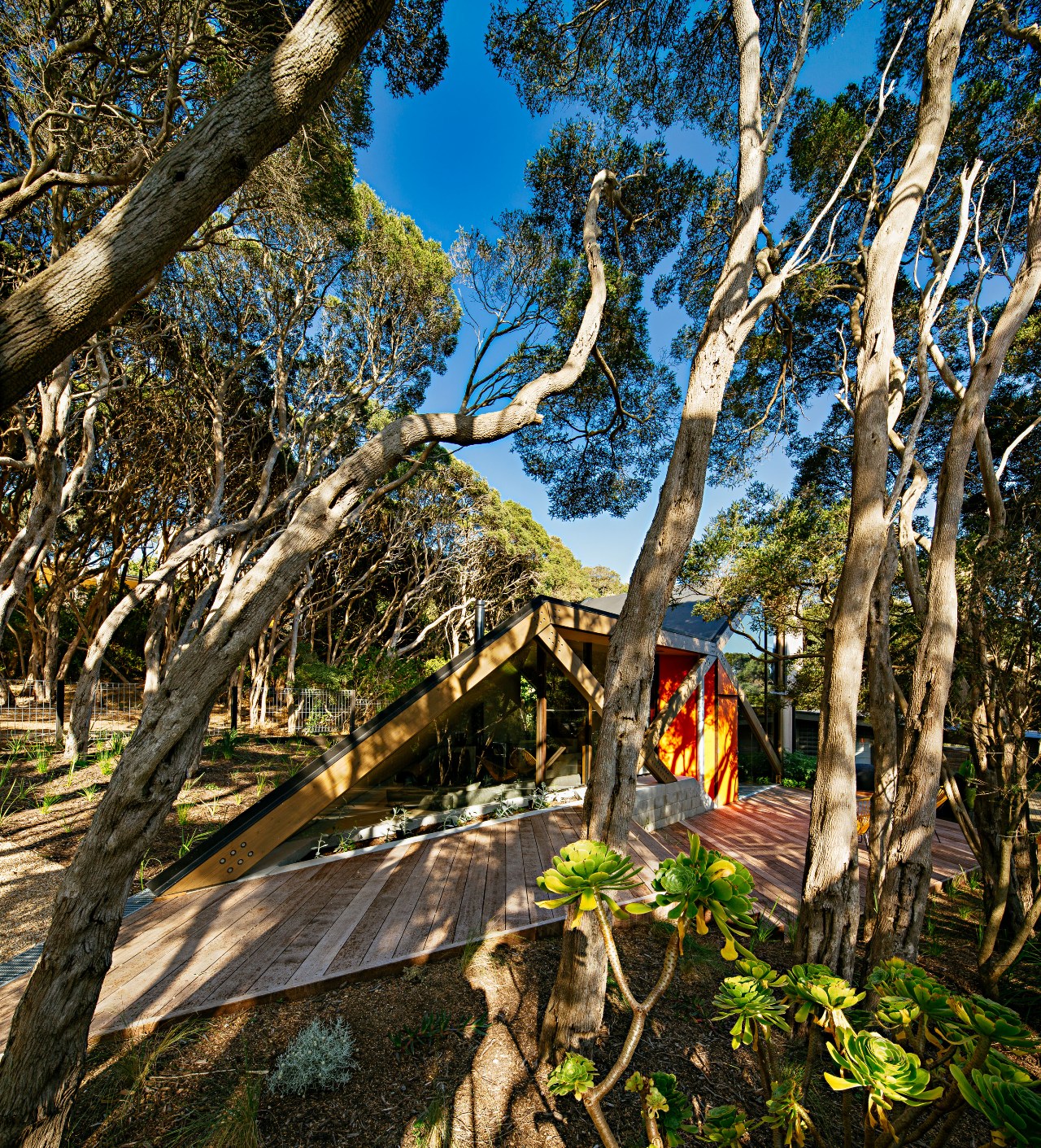 © Maddison Architects