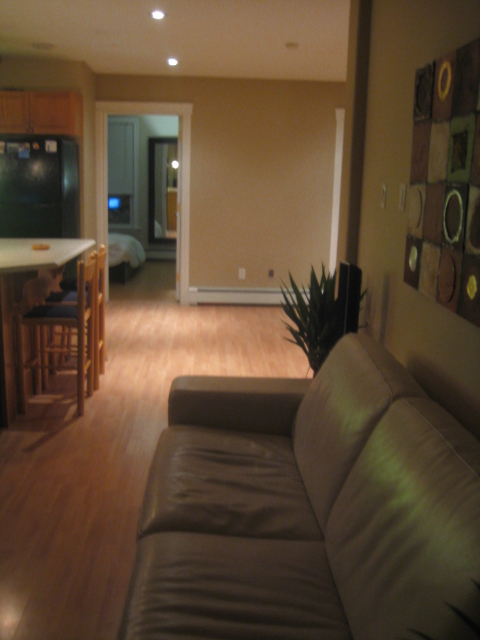 Barrington Apartment by rktectureArchitecture,Art, & Interior Design