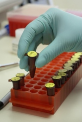 Invitro Fertilization Clinic by Cuschieri Horton Architects Architizer