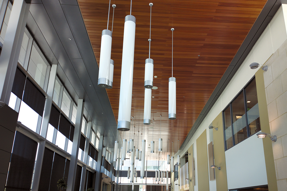 6300 Big Light 10 in. LED Tube Pendants