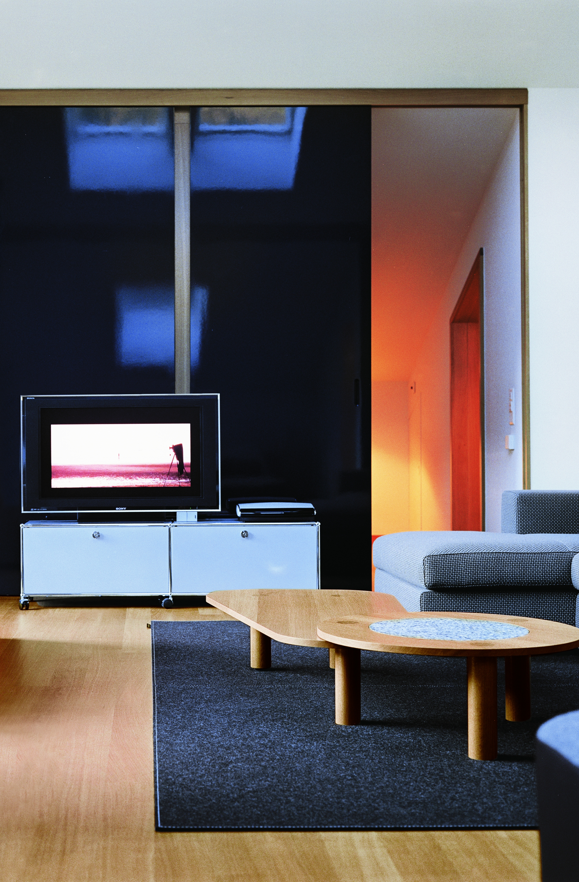 USM Haller Entertainment Unit