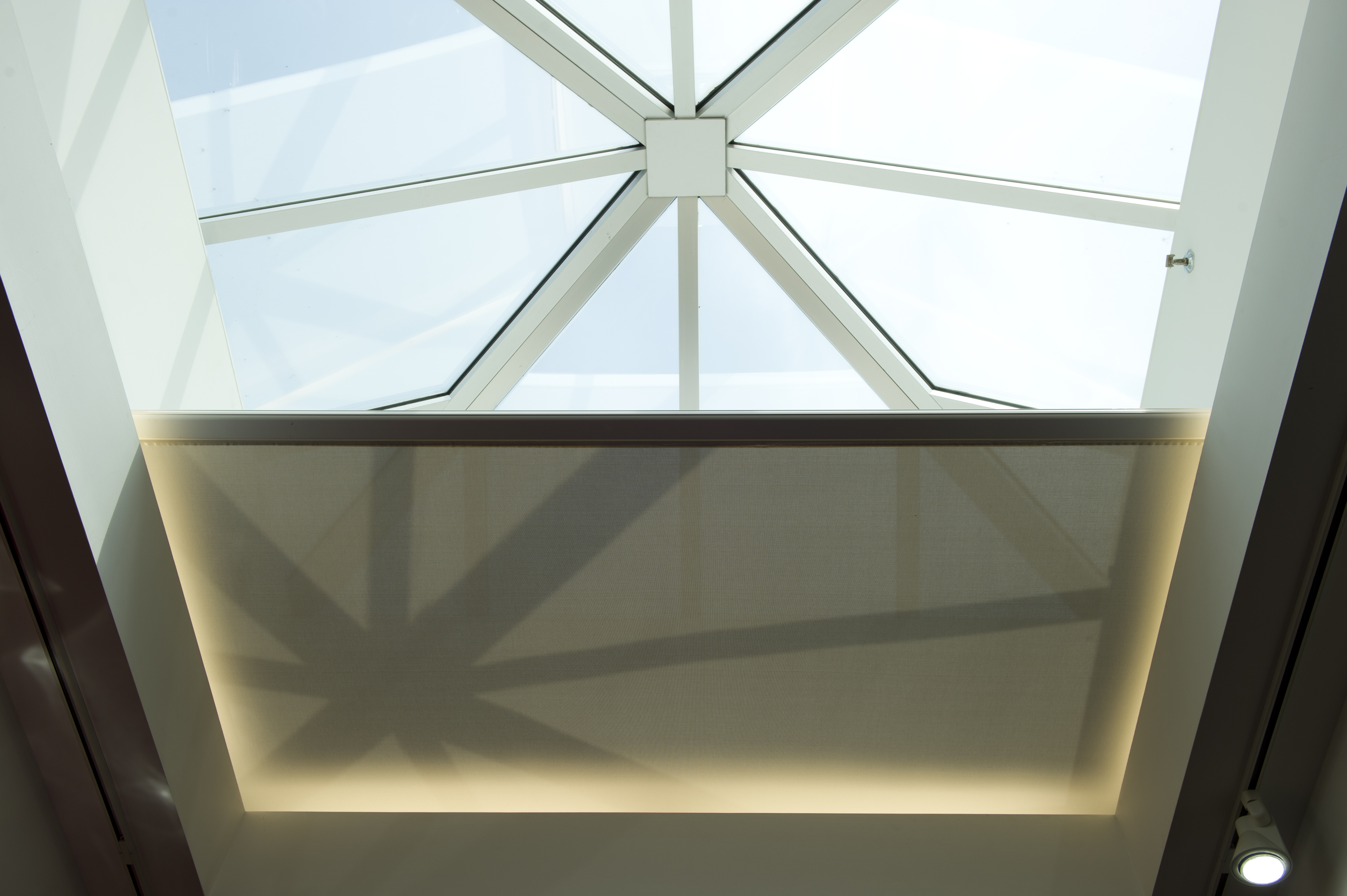 Skylight 2 FlexShades