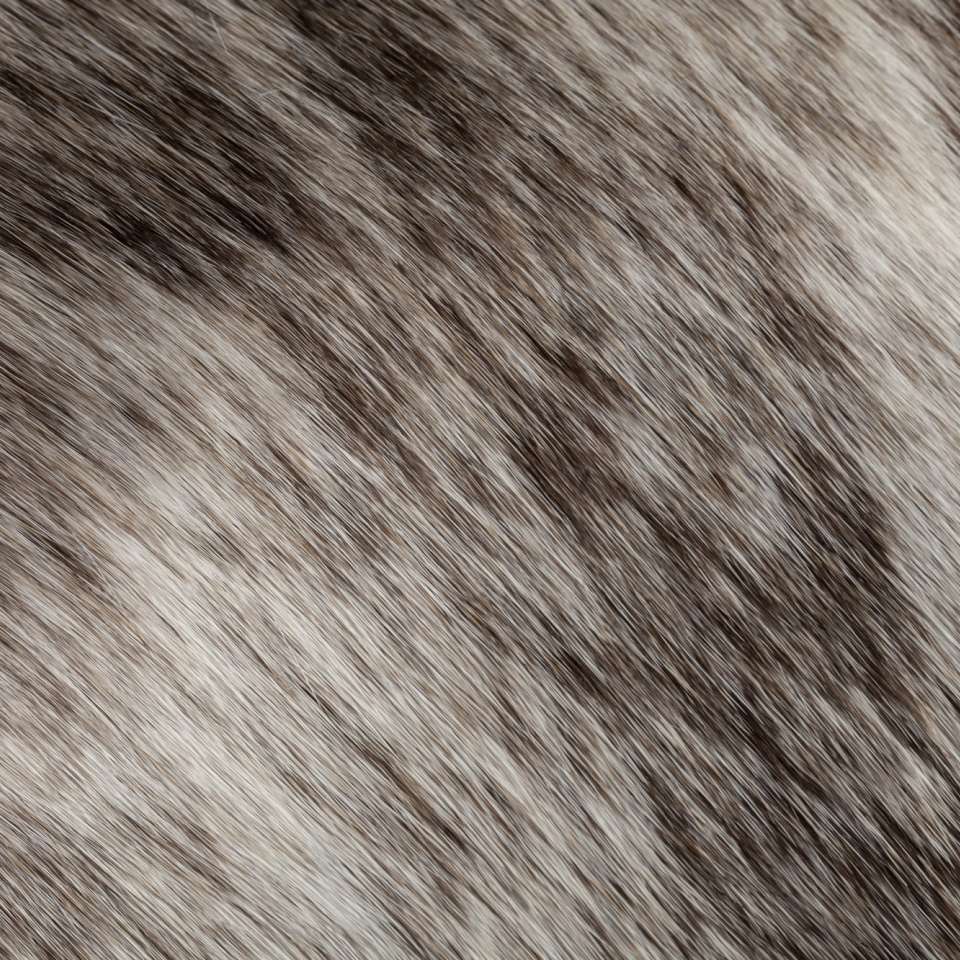 Serengeti