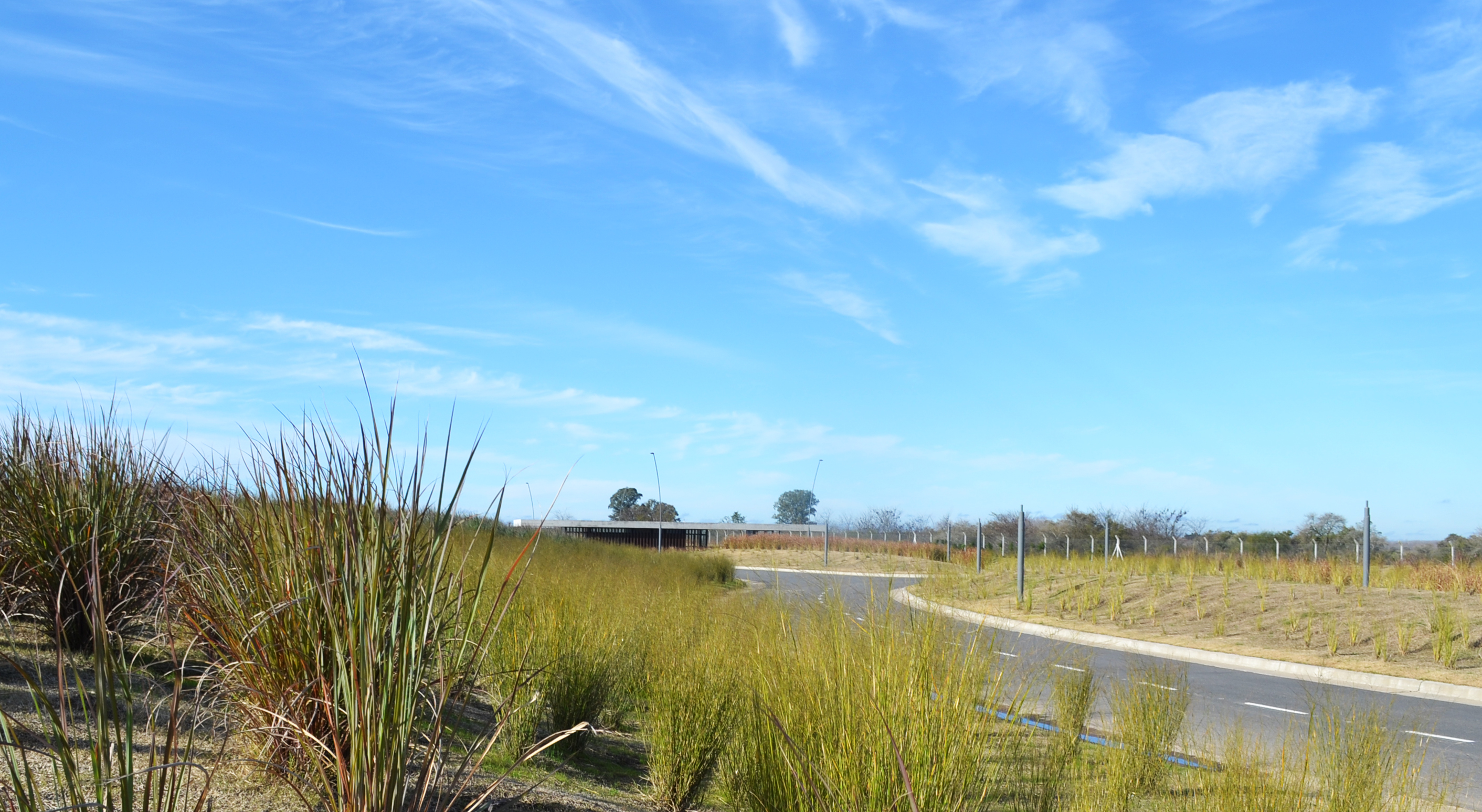 Palermo Urban Development by Estudio Ramos Architizer