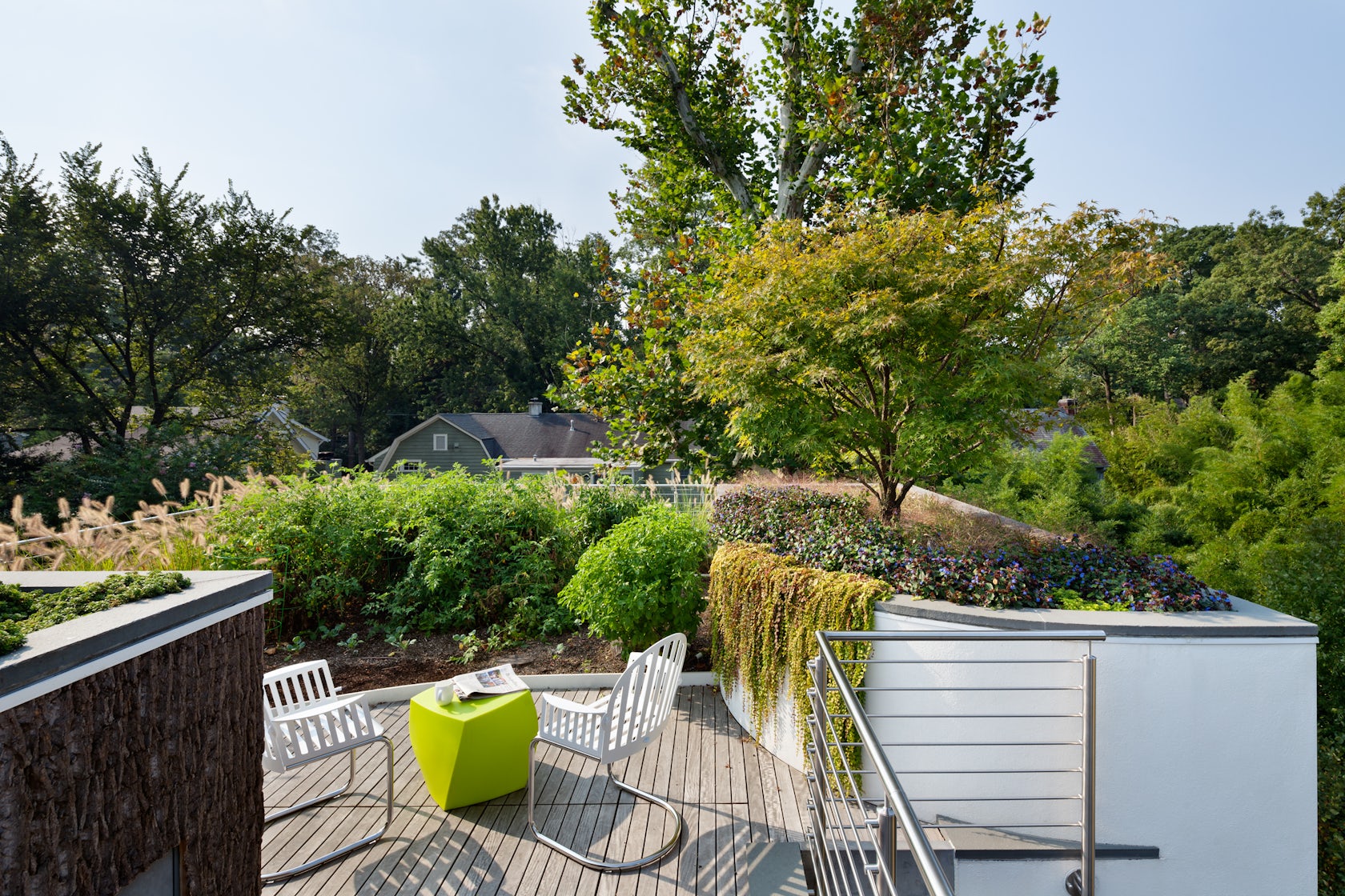 Trees on the Roof by Meditch Murphey Architects - Architizer
