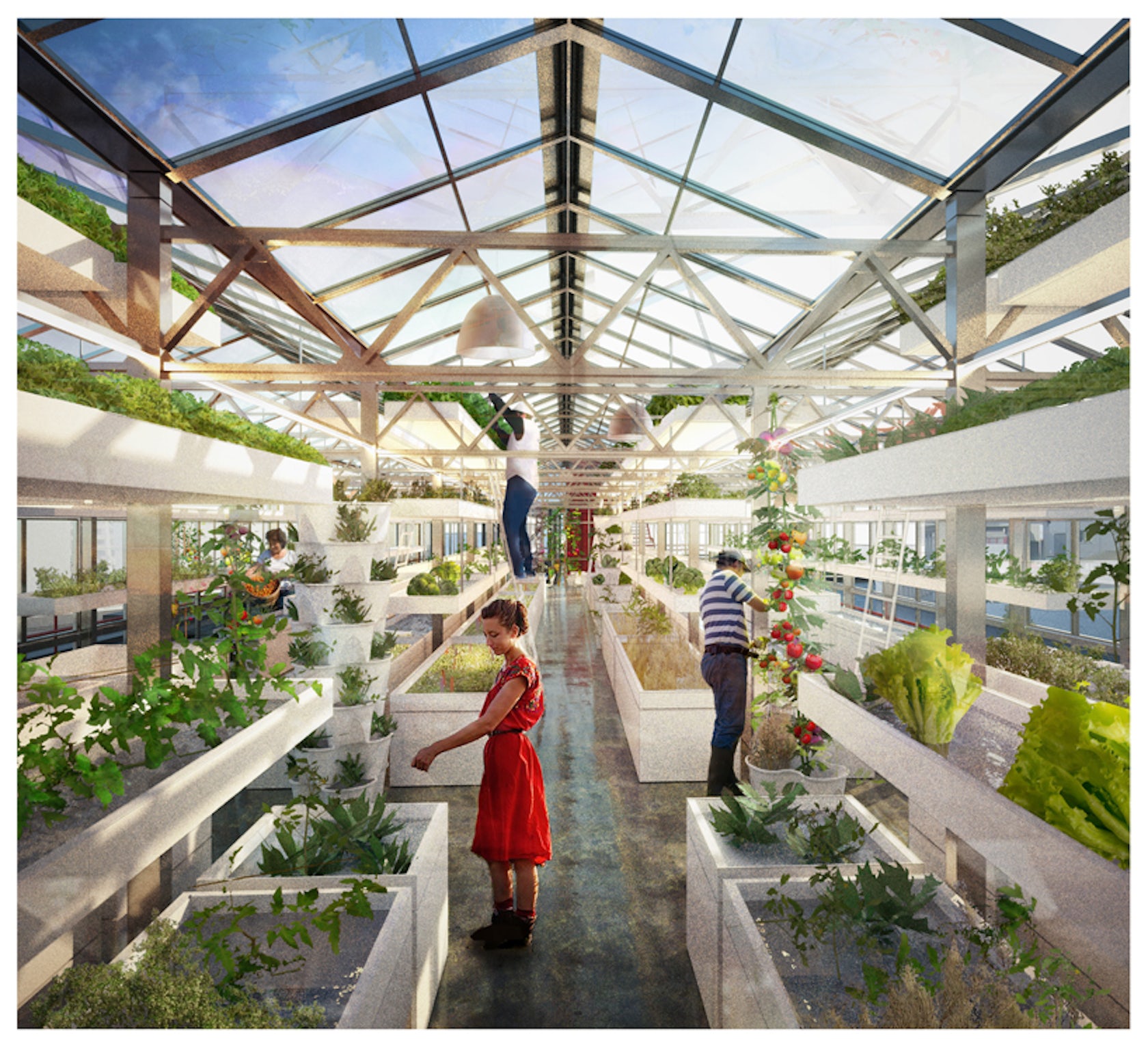 Aquaponic containers Saudi Arabia Vertical Farming Market to be Dominated by Hydroponics Growing Mechanism till 2026