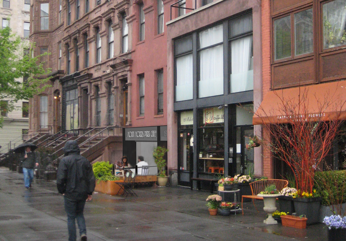 Mount Morris Park Redevelopment