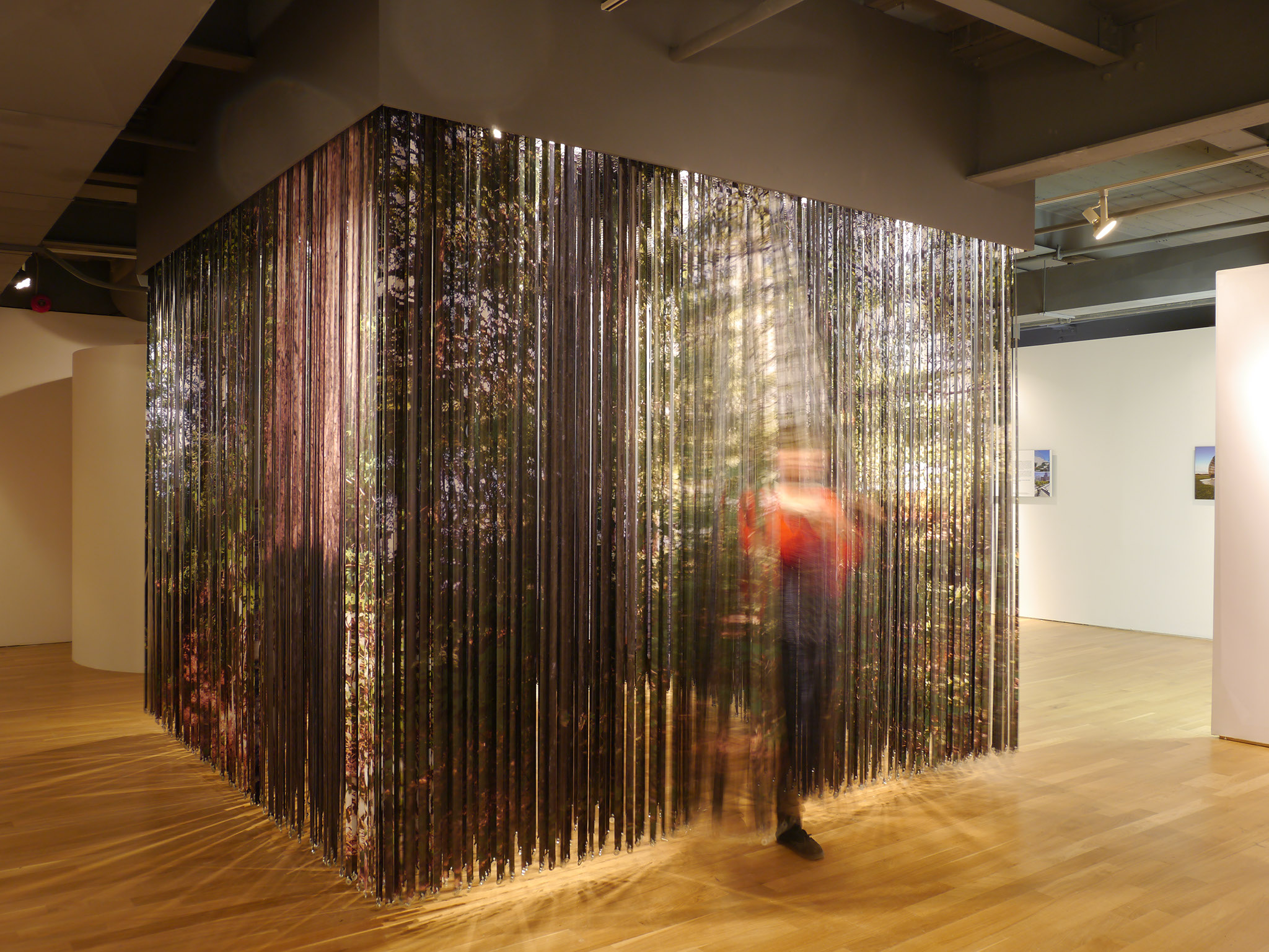 © Chris Pommer/PLANT