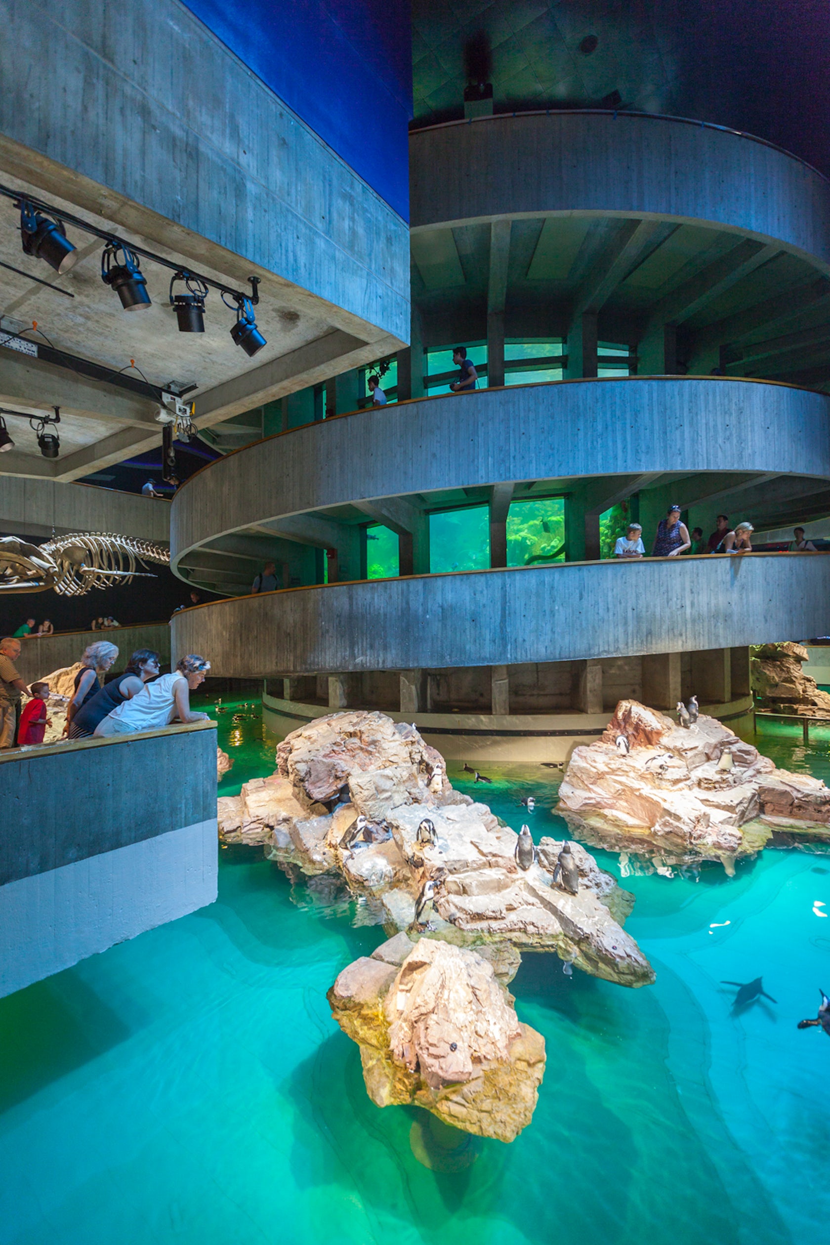 New England Aquarium Giant Ocean Tank - 14231563025591010 NEAq GOT 915 New England Aquarium Giant Ocean Tank - 14231563025591010 NEAq GOT 915